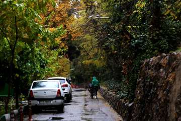 پاییز در دانشگاه علوم بهزیستی و توانبخشی